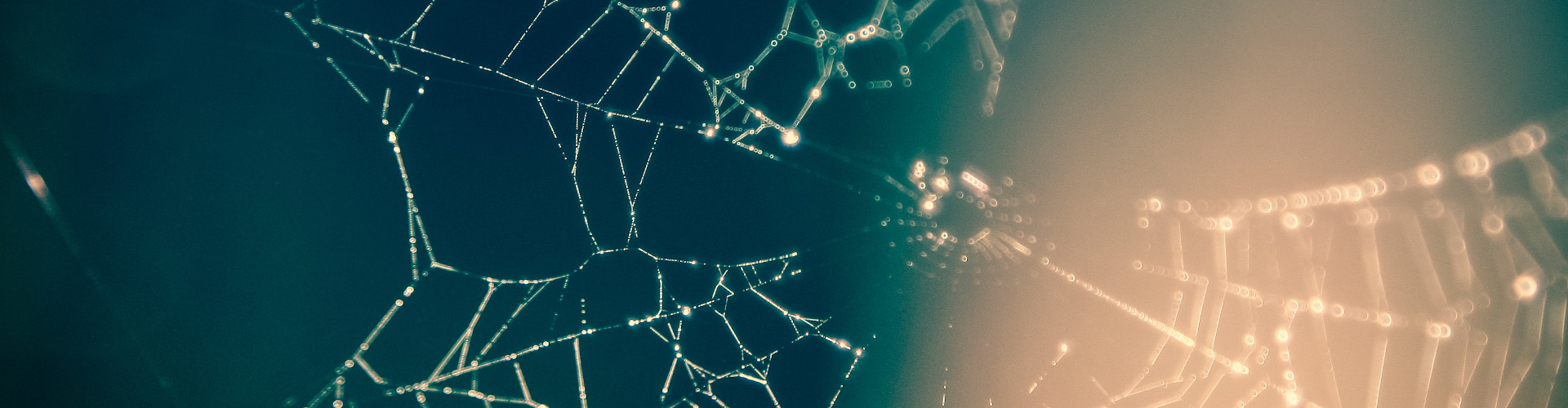 ItaCRIN_spiderweb